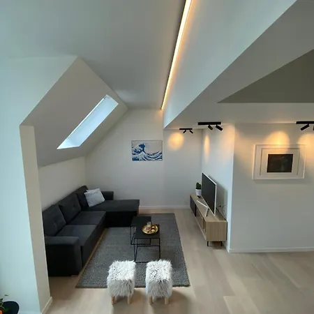 Coxy Penthouse Apartment *