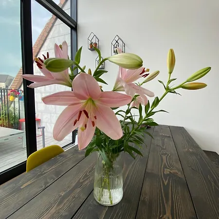 Apartment Coxy Penthouse *