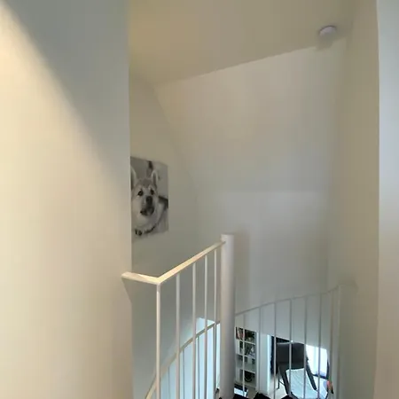 Coxy Penthouse Apartment